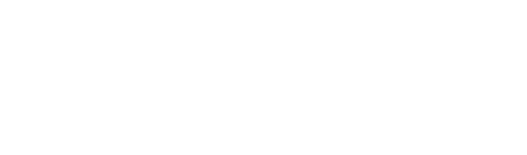 The story of Willy T. Ribbs is one that many can relate to, and certainly one that everyone can appreciate. This is a story about breaking barriers; a story about resolve, toughness and bravery.   This is the story of a modern-day trailblazer. 