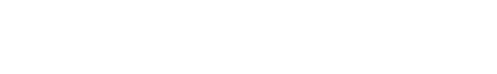 Ribbs returned to IMS with Walker Motorsports in 1993 for another shot at the Indianapolis 500. Driving the No. 75, he qualified 30th and finished 21st. With that finish, Ribbs broke his own record for the best finish by an African American driver in the Indianapolis 500. 